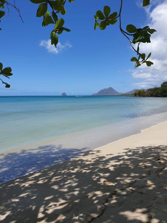 Ste Luce, N° 11 Appart -300M Plage De Mabouyas Corps de Garde Luaran gambar