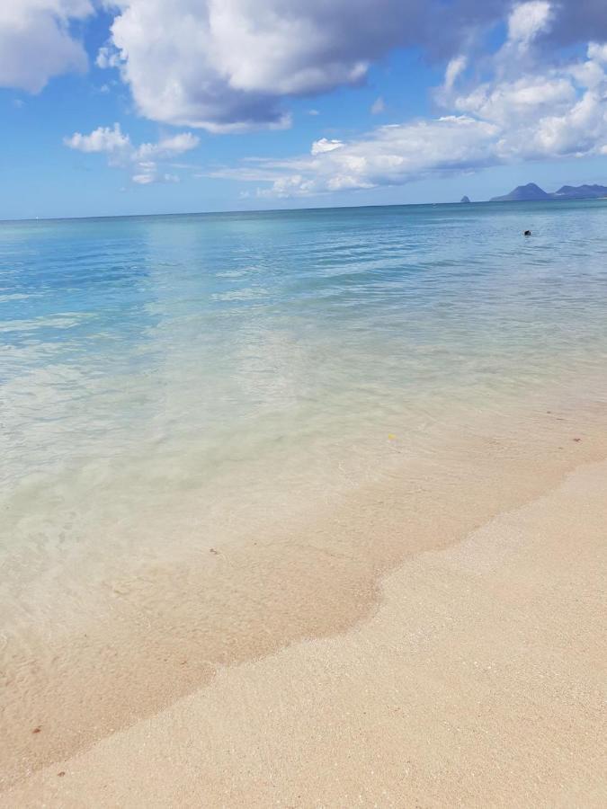 Ste Luce, N° 11 Appart -300M Plage De Mabouyas Corps de Garde Luaran gambar