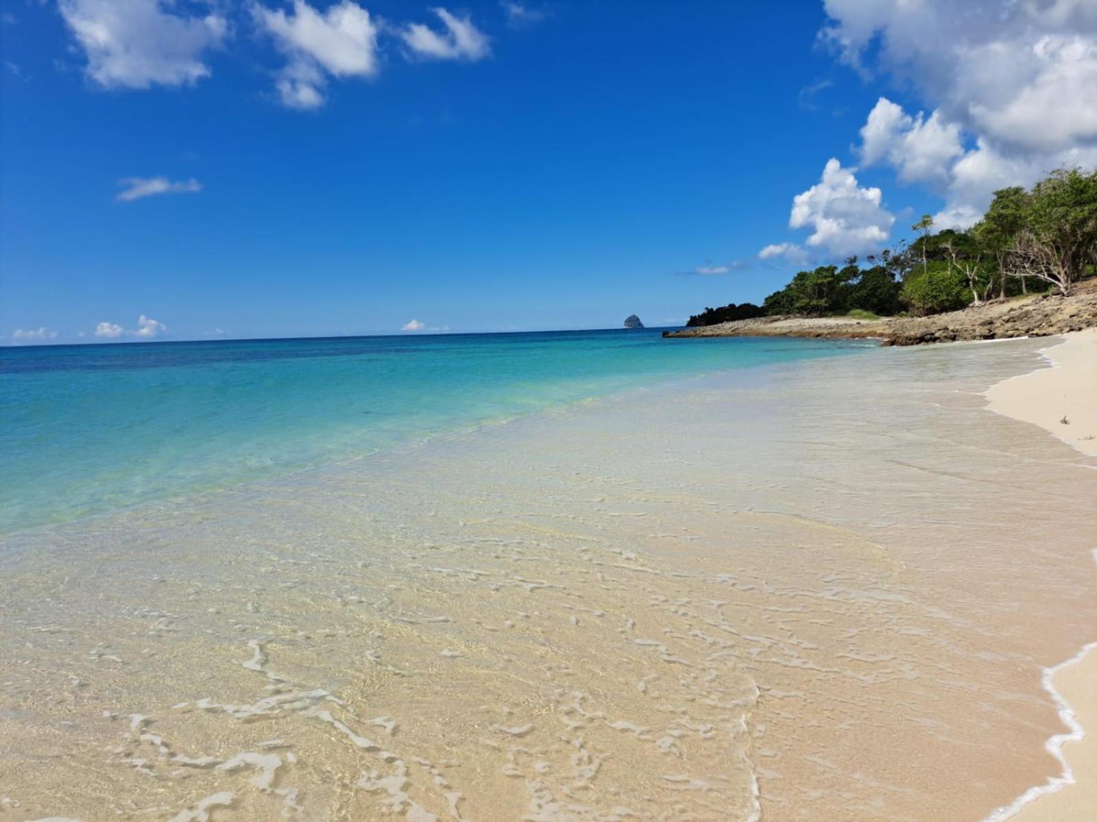 Ste Luce, N° 11 Appart -300M Plage De Mabouyas Corps de Garde Luaran gambar