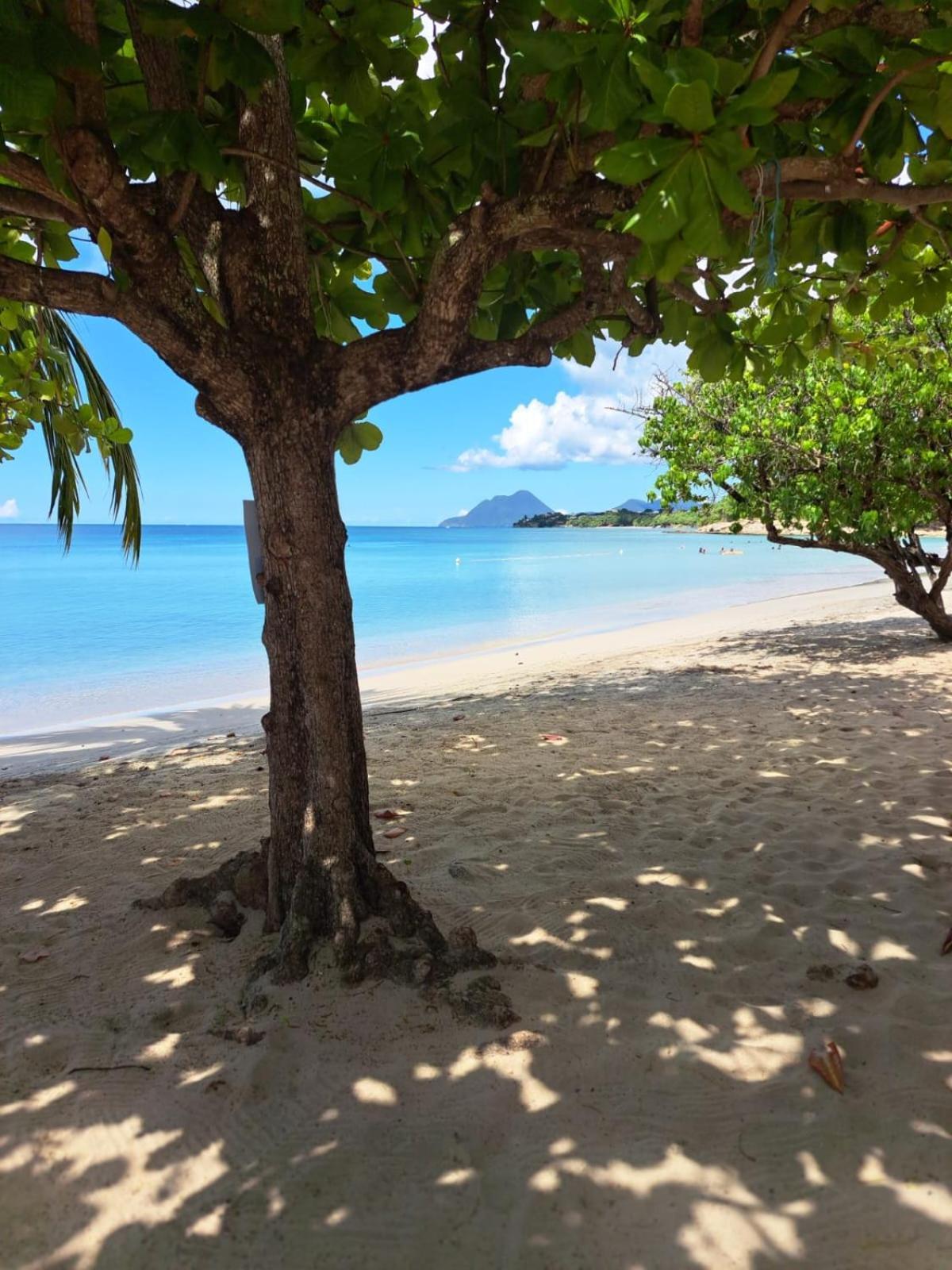 Ste Luce, N° 11 Appart -300M Plage De Mabouyas Corps de Garde Luaran gambar